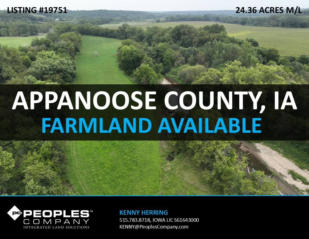 Listing #19751